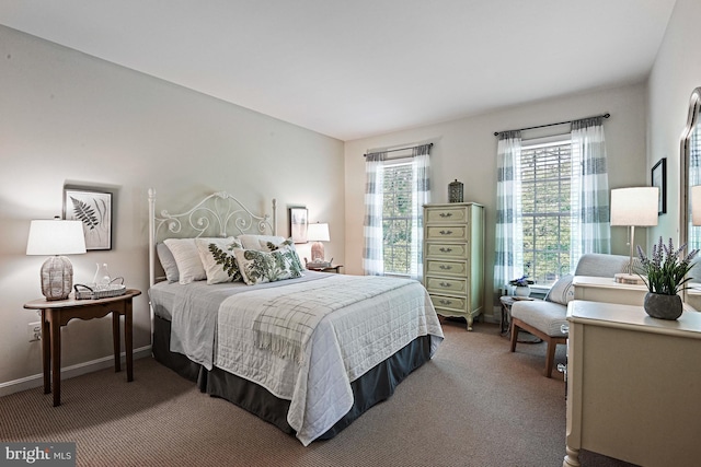 20337 Charter Oak Dr, Ashburn, VA 20147 - bedroom with carpet flooring and baseboards