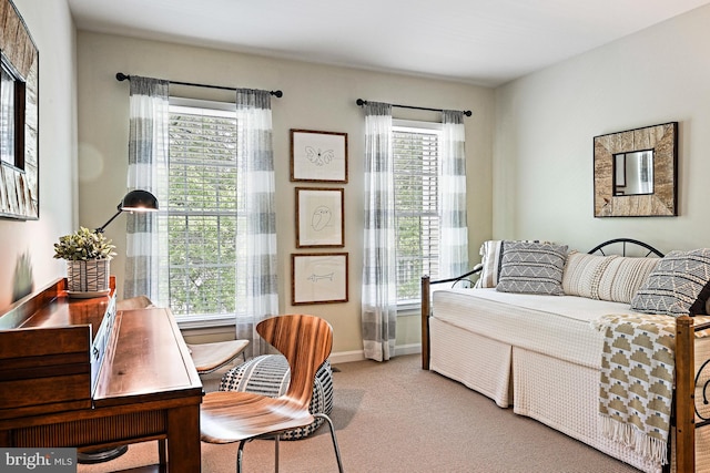 20337 Charter Oak Dr, Ashburn, VA 20147 - carpeted bedroom featuring baseboards