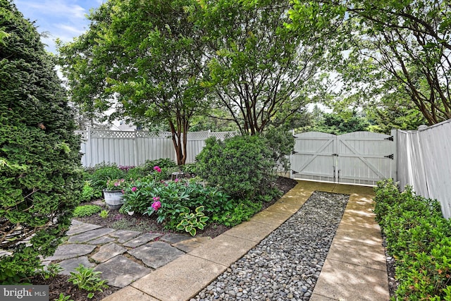 20337 Charter Oak Dr, Ashburn, VA 20147 - view of yard with a gate