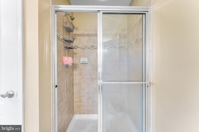 310 Windsor Rd, Mullica Hill, NJ 08062 - full bath featuring a shower stall