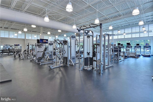 605 Chesapeake House Rd Unit 605N, Bethany Beach, DE 19930 - exercise room with a high ceiling