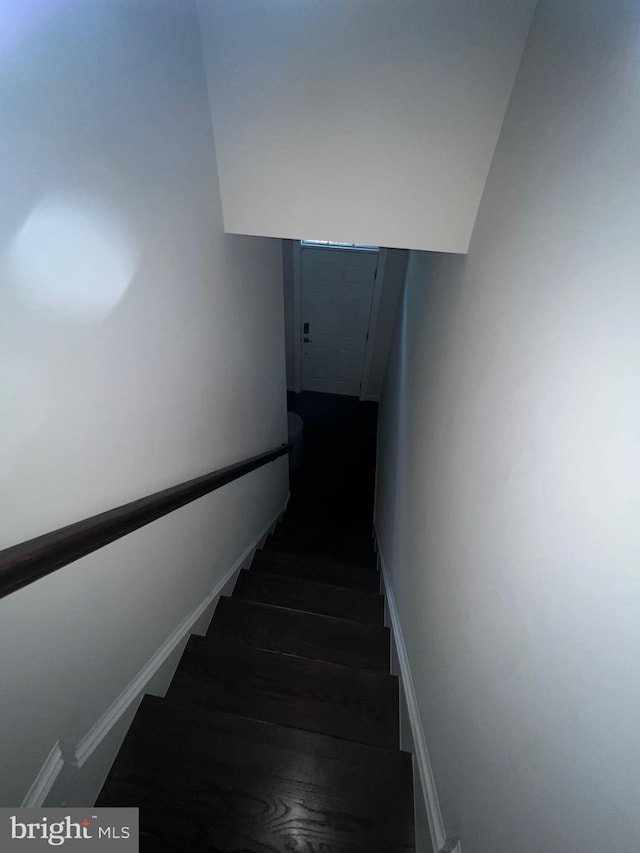 stairs featuring wood finished floors