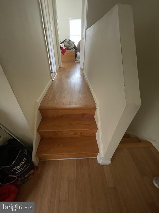 1844 W Master St, Philadelphia, PA 19121 - stairs with hardwood / wood-style floors