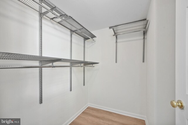 3830 9th St N Unit 110W, Arlington, VA 22203 - spacious closet with light wood finished floors