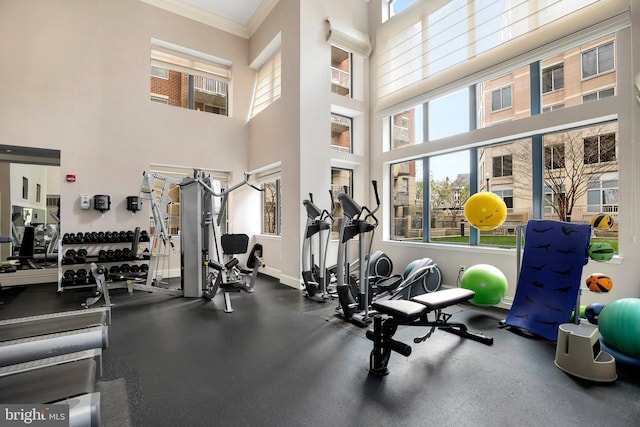 3830 9th St N Unit 110W, Arlington, VA 22203 - gym with crown molding, baseboards, and a towering ceiling