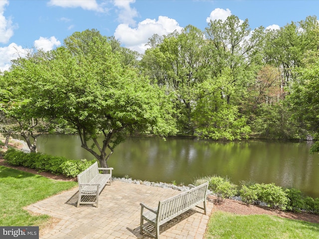 7287 Evans Mill Rd, Mclean, VA 22101 - view of community featuring a patio and a water view