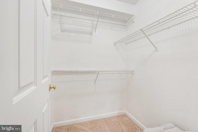 8357 Cypress Mill Rd Unit 8357, Nottingham, MD 21236 - spacious closet with carpet flooring
