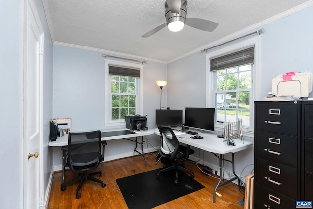 office space with wood finished floors, ornamental molding, plenty of natural light, a textured ceiling, and a ceiling fan