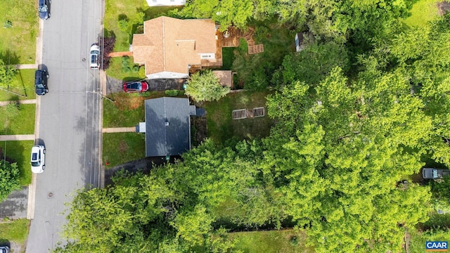 bird's eye view