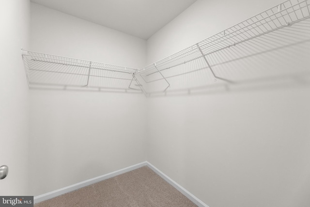 40 Marion Ave, Bordentown, NJ 08505 - spacious closet featuring carpet