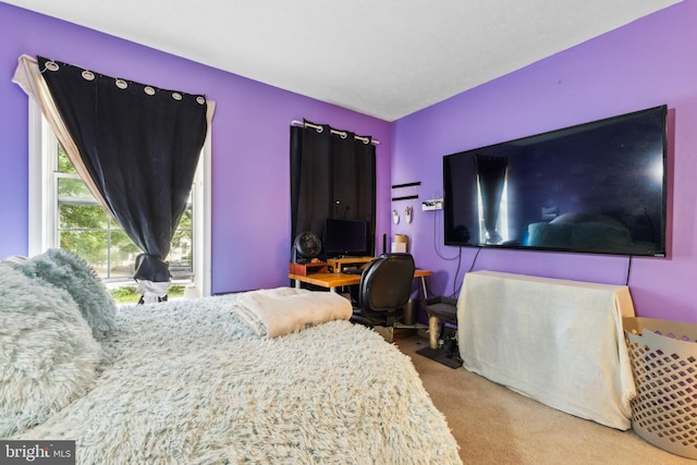 11500 Acton Ln, Waldorf, MD 20601 - view of carpeted bedroom