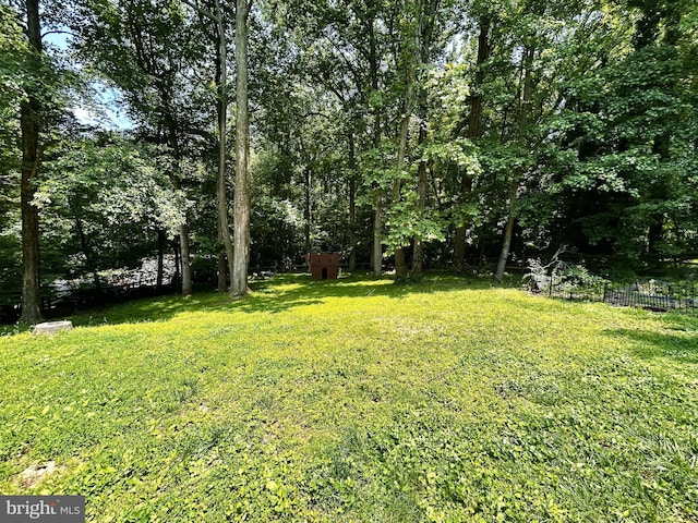 11500 Acton Ln, Waldorf, MD 20601 - view of yard
