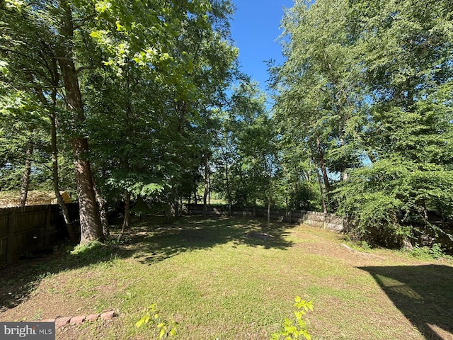 201 Anchor Cv, Stafford, VA 22554 - view of yard