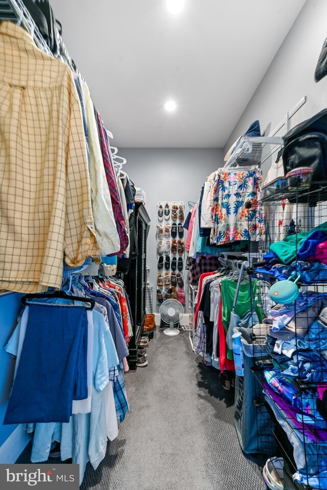 714 W St, Laurel, DE 19956 - spacious closet featuring carpet floors