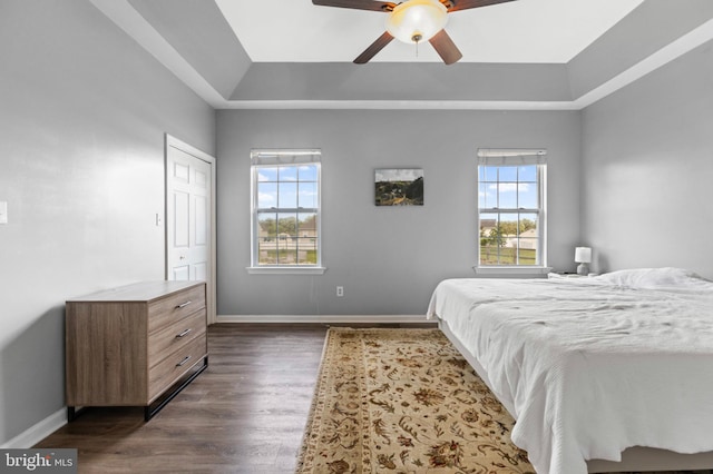 bedroom with a tray ceiling, multiple windows, dark wood-style floors, and baseboards