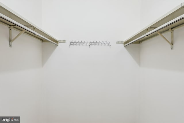 10007 Marshall Pond Rd, Burke, VA 22015 - view of spacious closet