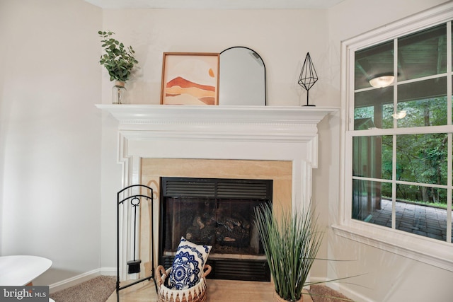 14321 Long Channel Dr, Germantown, MD 20874 - detailed view of baseboards and a fireplace