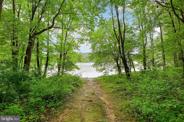 14321 Long Channel Dr, Germantown, MD 20874 - water view with a forest