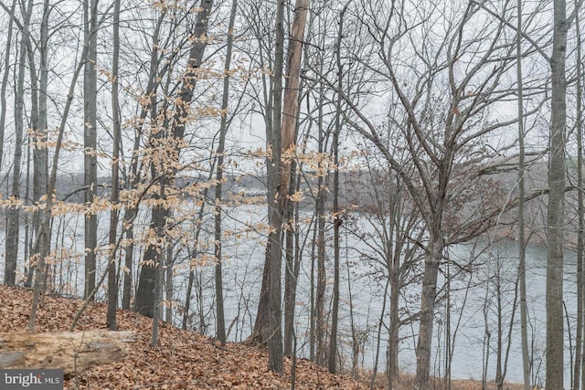 14321 Long Channel Dr, Germantown, MD 20874 - water view