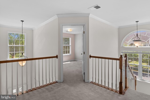16874 Reef Knot Way, Woodbridge, VA 22191 - hall with a chandelier, an upstairs landing, carpet flooring, crown molding, and baseboards