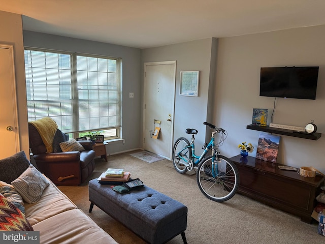 441 Tomlinson Rd Unit E18, Philadelphia, PA 19116 - view of carpeted living area