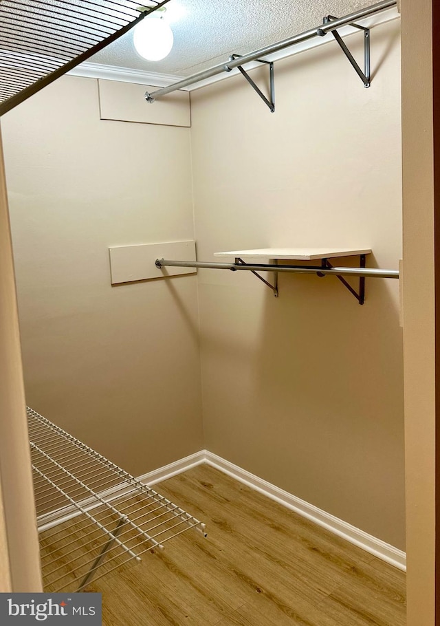 1836 Metzerott Rd Unit 1414, Adelphi, MD 20783 - spacious closet with wood finished floors