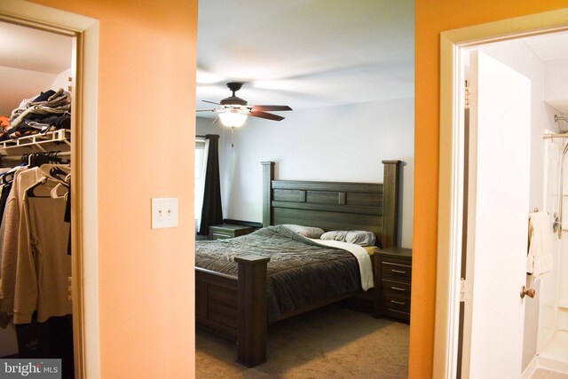 bedroom featuring carpet, ceiling fan, and a spacious closet