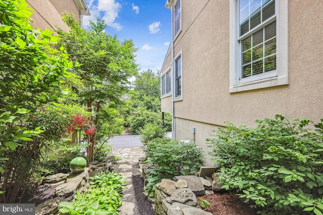 2006 N Bancroft Pkwy, Wilmington, DE 19806 - view of yard