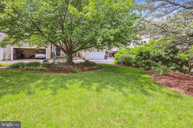 2006 N Bancroft Pkwy, Wilmington, DE 19806 - view of green lawn with a garage