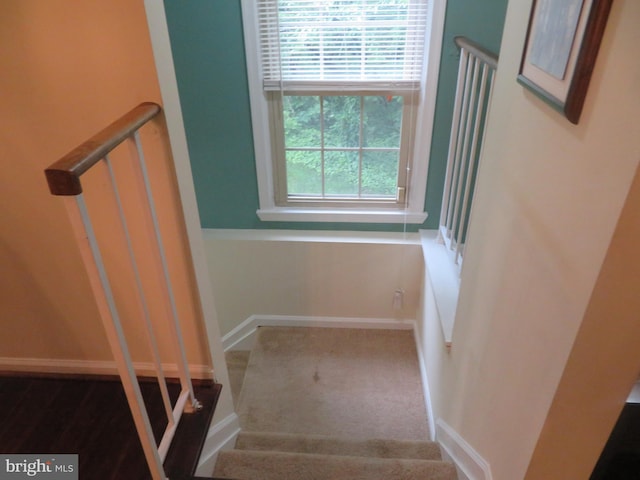 stairs featuring baseboards and carpet flooring