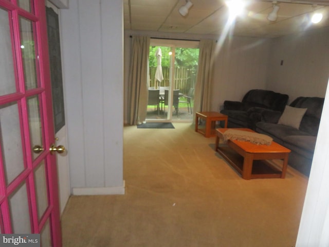living area featuring carpet flooring