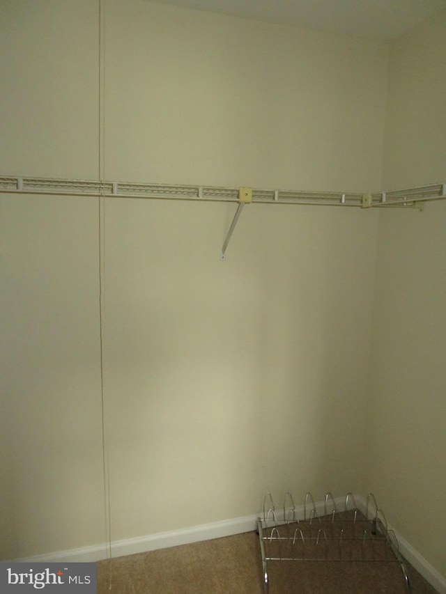 spacious closet with carpet floors
