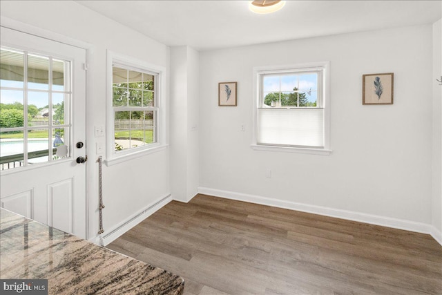 101 Flower, Mount Airy, MD 21771 - doorway featuring healthy amount of natural light, wood finished floors, and baseboards