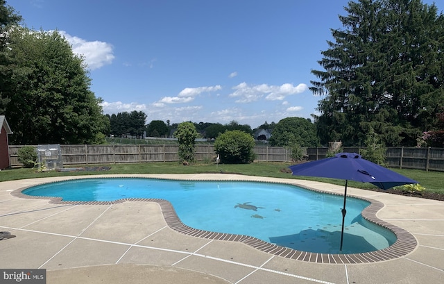 view of pool with a patio and view of scattered trees
