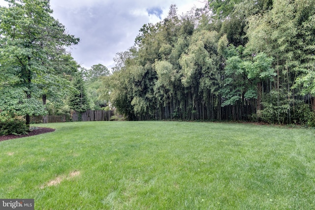 3663 Trinity, Alexandria, VA 22304 - view of yard