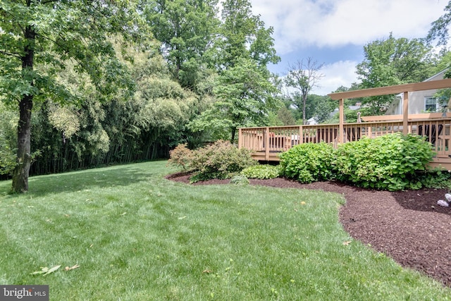 3663 Trinity, Alexandria, VA 22304 - view of green lawn featuring a deck