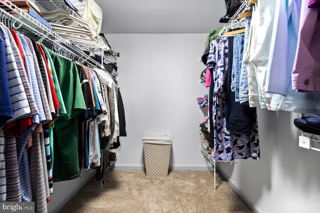 1839 Disney Estates Cir, Severn, MD 21144 - walk in closet with carpet flooring