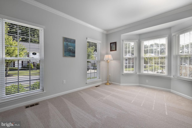 1839 Disney Estates Cir, Severn, MD 21144 - carpeted spare room with baseboards and crown molding