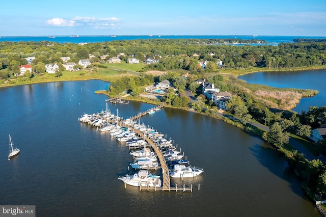 1241 Cherry Tree Ln, Annapolis, MD 21403 - aerial view of property and surrounding area featuring a large body of water