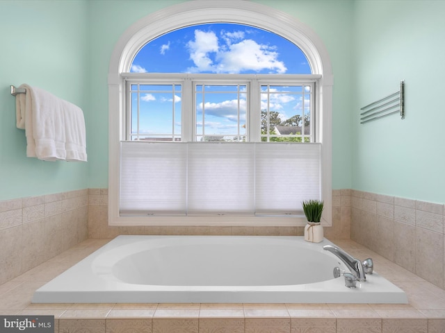 32561 Heron Cir Unit 13, Bethany Beach, DE 19930 - bathroom with a garden tub and healthy amount of natural light
