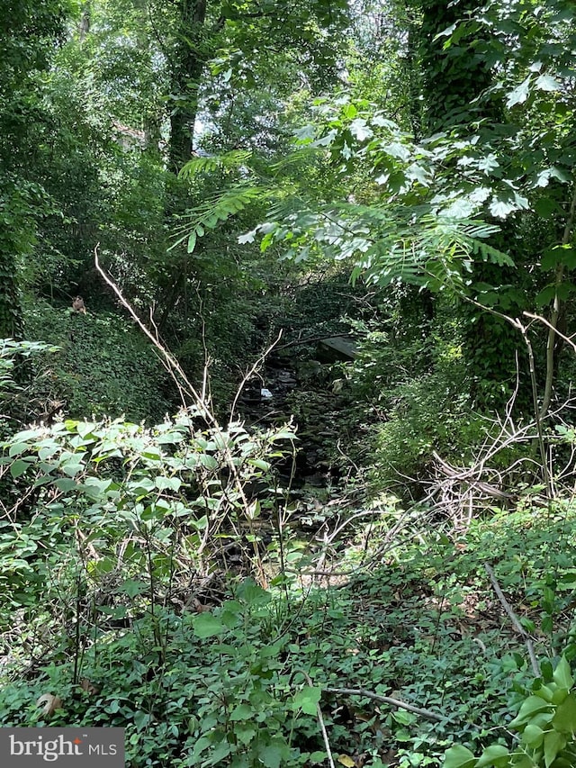 2817 Ontario Ave, Baltimore, MD 21234 - view of nature