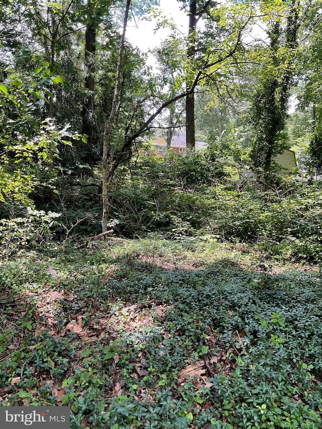 2817 Ontario Ave, Baltimore, MD 21234 - view of undeveloped land