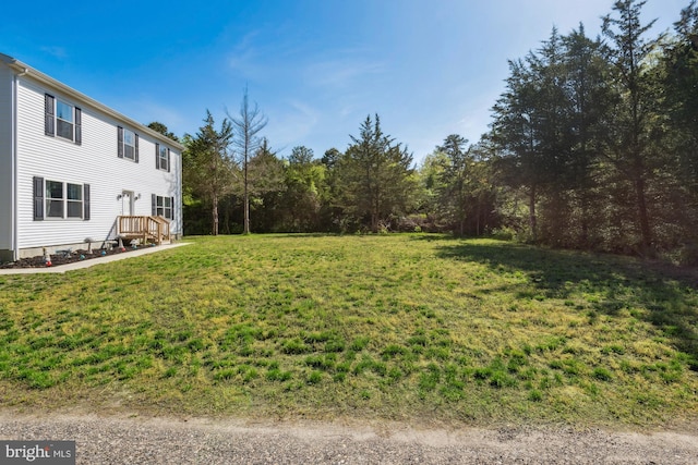301 Heine Ave, Woodbine, NJ 08270 - view of grassy yard