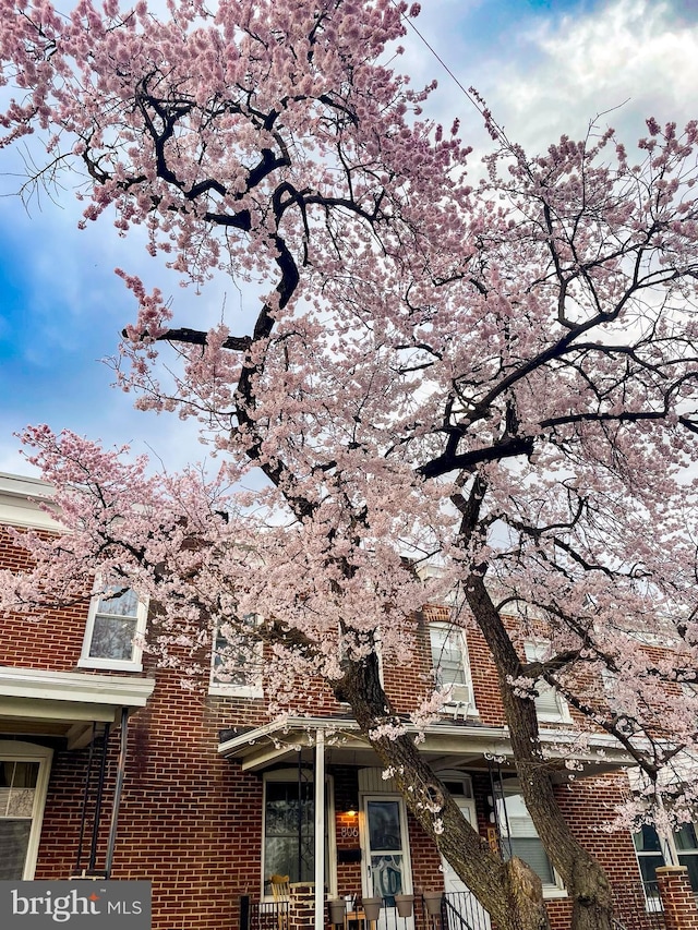 806 W 32nd St, Baltimore, MD 21211 - view of home's exterior featuring brick siding
