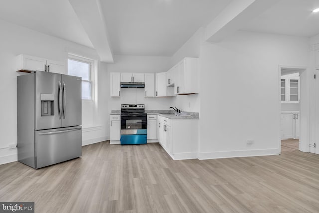 19 Valley St, Lewistown, PA 17044 - kitchen with stainless steel appliances, under cabinet range hood, a sink, light countertops, and light wood-type flooring