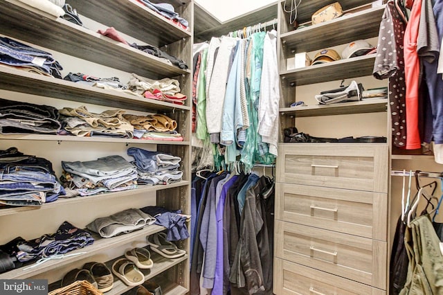 view of spacious closet