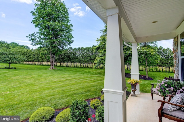 view of grassy yard featuring a porch and view of scattered trees