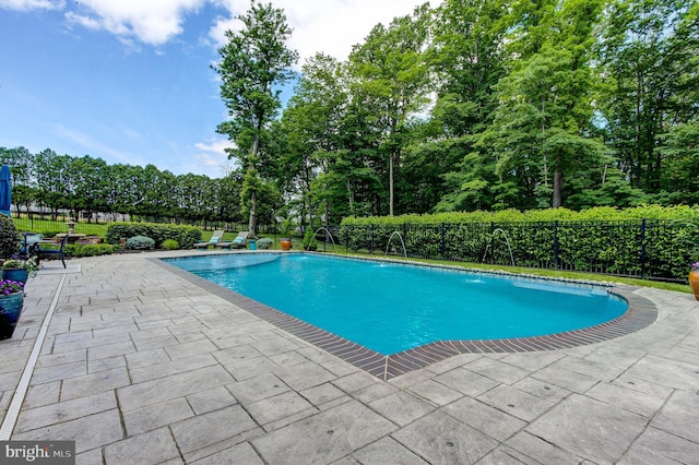 view of pool featuring a patio area