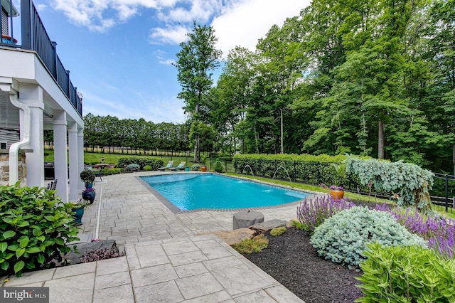 view of pool featuring a patio area