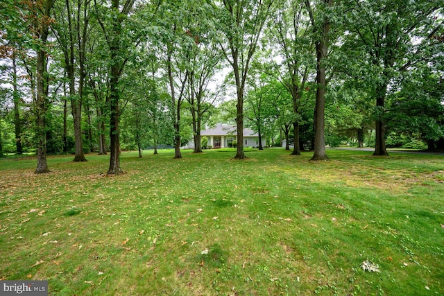 8320 Ingleton Cir W, Easton, MD 21601 - view of green lawn
